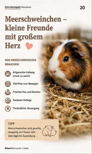 Meerschweinchen – kleine Freunde mit großem Herz